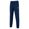 tecnifibre team stretch pants 1
